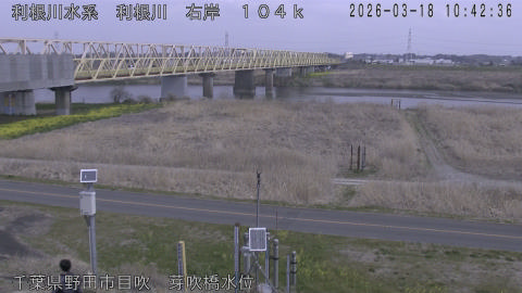 tonme2026031811_image