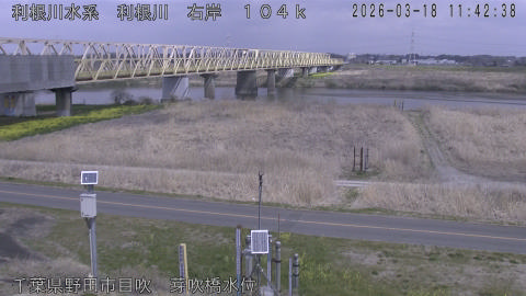 tonme2026031812_image