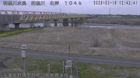 tonme2026031813_image