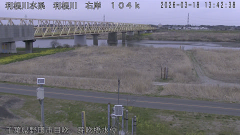 tonme2026031814_image