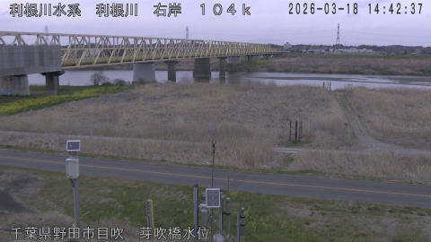 tonme2026031815_image