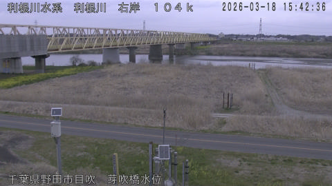 tonme2026031816_image