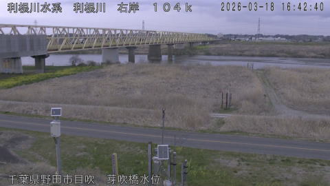 tonme2026031817_image