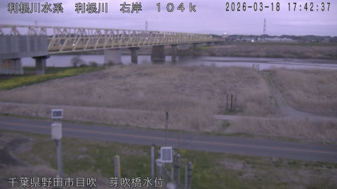 tonme2026031818_image