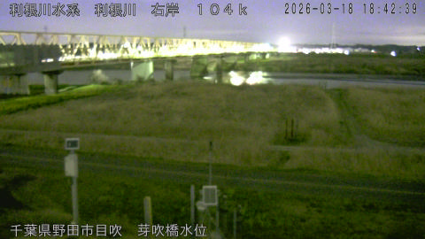 tonme2026031819_image