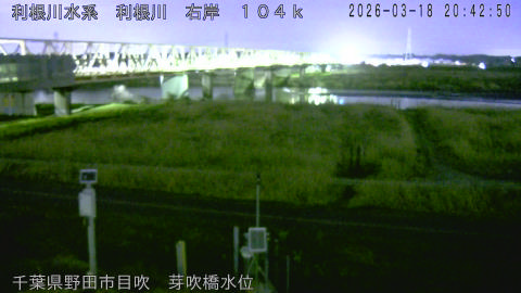 tonme2026031821_image