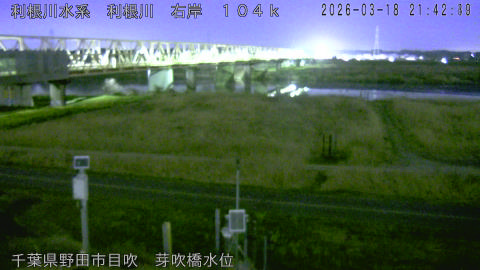 tonme2026031822_image