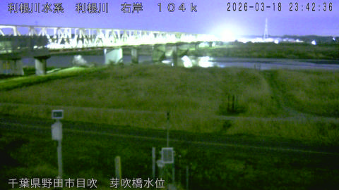 tonme2026031900_image