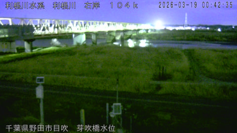 tonme2026031901_image