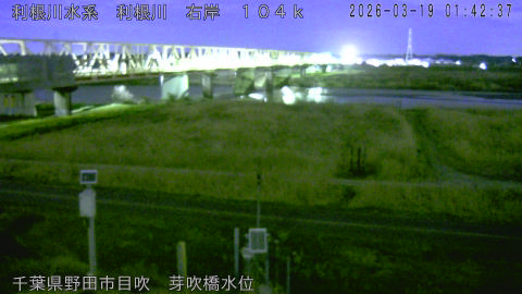 tonme2026031902_image