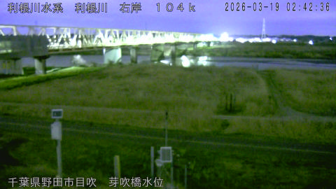 tonme2026031903_image