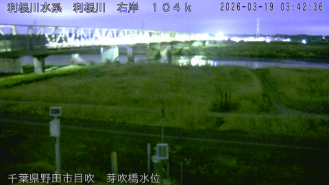 tonme2026031904_image