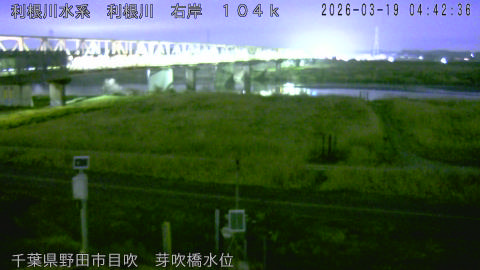 tonme2026031905_image