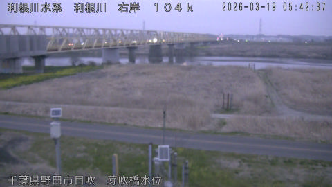 tonme2026031906_image