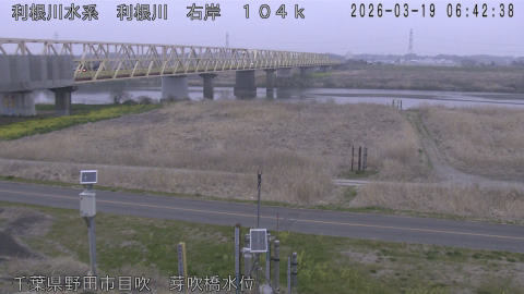 tonme2026031907_image