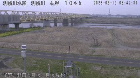 tonme2026031909_image