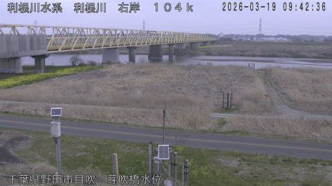 tonme2026031910_image