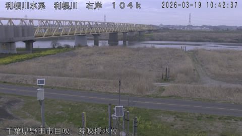 tonme2026031911_image