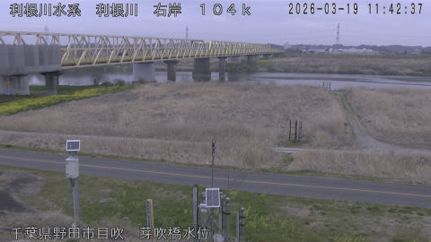 tonme2026031912_image