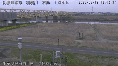 tonme2026031913_image