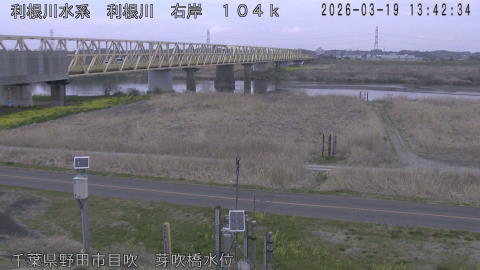 tonme2026031914_image