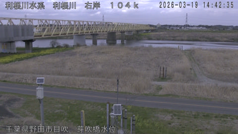 tonme2026031915_image