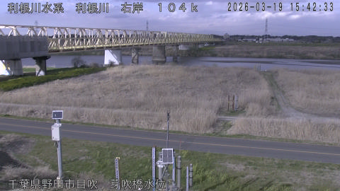 tonme2026031916_image