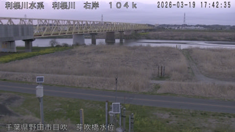 tonme2026031918_image