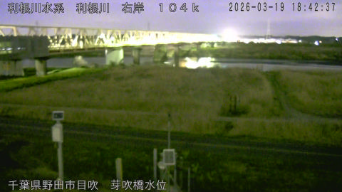 tonme2026031919_image