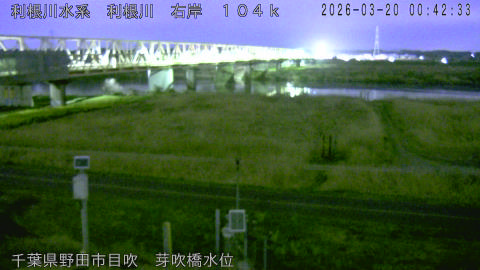 tonme2026032001_image