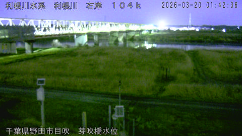 tonme2026032002_image