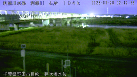 tonme2026032003_image