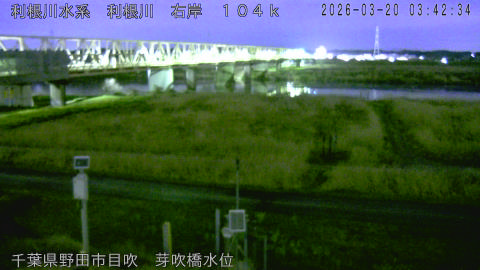 tonme2026032004_image