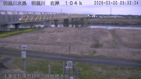 tonme2026032006_image