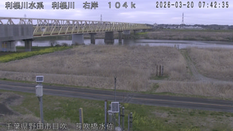 tonme2026032008_image