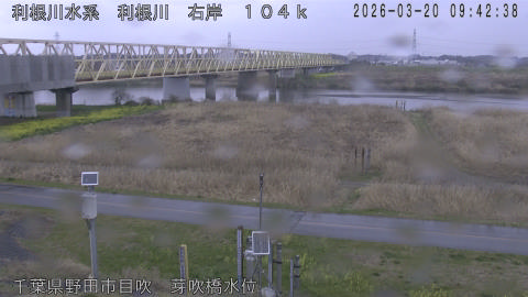 tonme2026032010_image