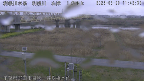 tonme2026032012_image