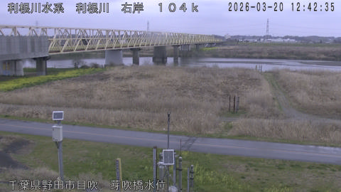 tonme2026032013_image