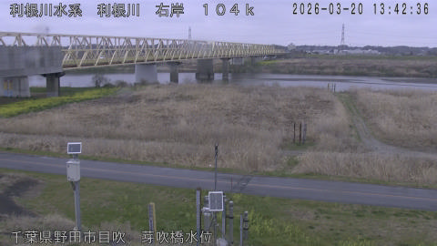 tonme2026032014_image