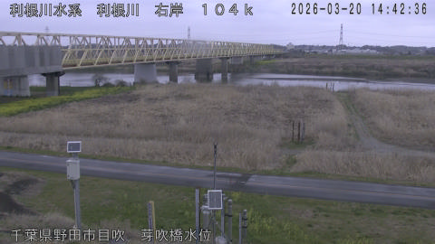 tonme2026032015_image