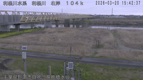 tonme2026032016_image