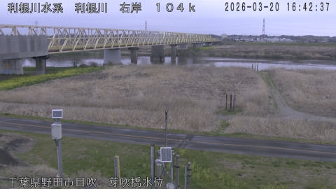 tonme2026032017_image