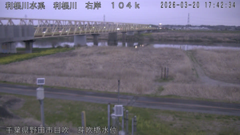 tonme2026032018_image