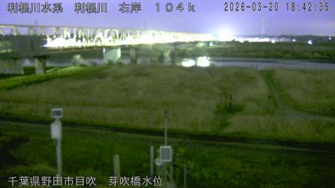 tonme2026032019_image