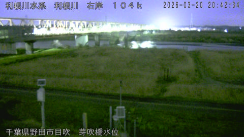 tonme2026032021_image