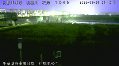 tonme2026032100_image