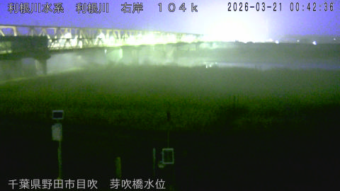 tonme2026032101_image