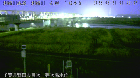 tonme2026032102_image