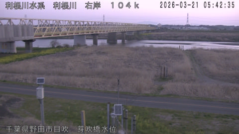 tonme2026032106_image