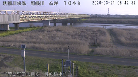 tonme2026032107_image